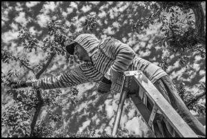 Farm Boss to Immigrant Workers: "You Came Here to Suffer"