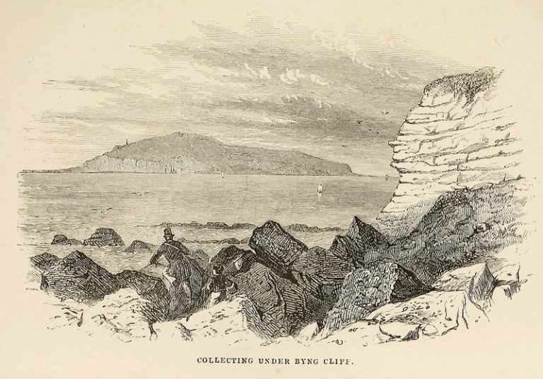 062118-12-Philip-Henry-Goose-Biology-Evolution-History