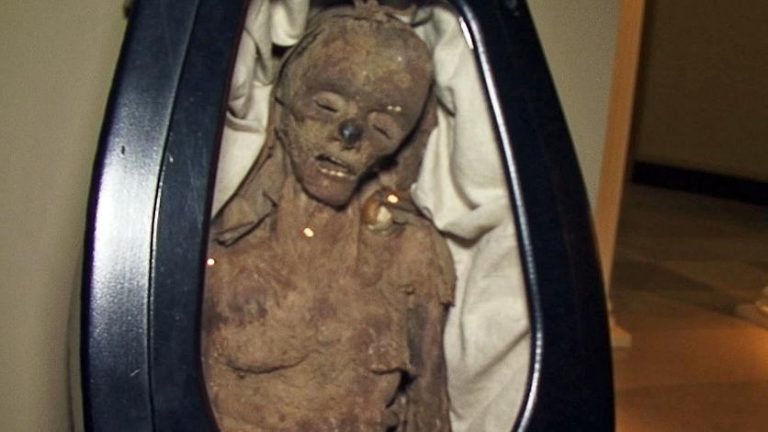 062118-40-Archaelogy-Biology-History