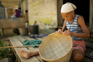 5 Ways Indigenous Groups are Fighting Back against Land Seizures