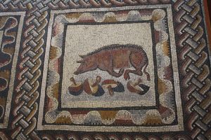 Food in the Roman World