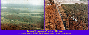Chernobyl, Over Three Decades Later 51 Chernobyl, Over Three Decades Later