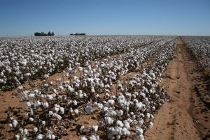 071318-10-Texas-Agriculture-Trump-Tariff