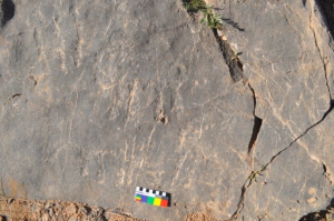 Rock Art of the Howz-Māhy Region in Central Iran 37 Rock Art of the Howz-Māhy Region in Central Iran