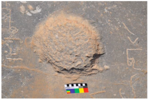 Rock Art of the Howz-Māhy Region in Central Iran 44 Rock Art of the Howz-Māhy Region in Central Iran