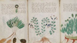 Could Ancient Textbooks Be the Source of the Next Medical Breakthrough? 200 072818-15-Ancient-Medicine-Medical-History