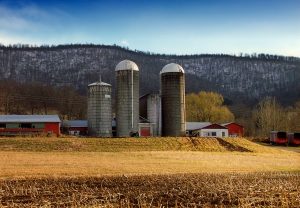 Trump's $12 Billion Farm Subsidies - Trying to Solve a Problem He Created