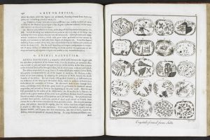 The Victorian Supernatural: Spirits, Science, and Society 9 The Victorian Supernatural: Spirits, Science, and Society