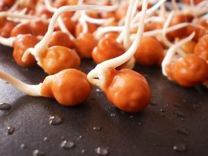 Medieval People and Their Aphrodisiacs