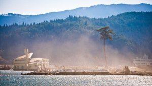 Deep Roots, Strong Bonds: Community Resilience in Japan 2 Deep Roots, Strong Bonds: Community Resilience in Japan