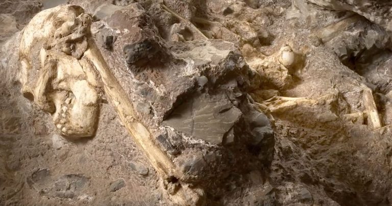 082518-49-Prehistory-Prehistoric-History-Ancient-Biology