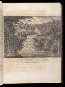 Slavery, Freedom, and the 18th-Century Jamaican Landscape