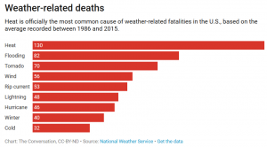 Green Roofs in Cities Like Chicago Benefit Low-Income Neighborhoods Most