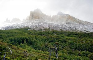 Trump is Ignoring Latin America, and We Do That at Our Own Peril