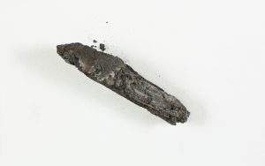 Buried by the Ash of Vesuvius: Pompeii Scrolls Being Read for the First Time 29 Buried by the Ash of Vesuvius: Pompeii Scrolls Being Read for the First Time