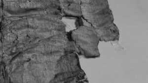 Buried by the Ash of Vesuvius: Pompeii Scrolls Being Read for the First Time 33 Buried by the Ash of Vesuvius: Pompeii Scrolls Being Read for the First Time