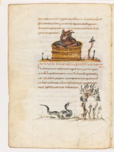 The Siren: A Medieval Identity Crisis 21 The Siren: A Medieval Identity Crisis