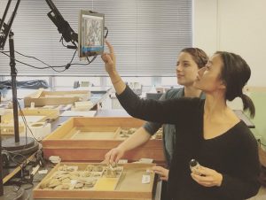 Digitizing the Vast 'Dark Data' in Fossil Museum Collections 21 Digitizing the Vast 'Dark Data' in Fossil Museum Collections