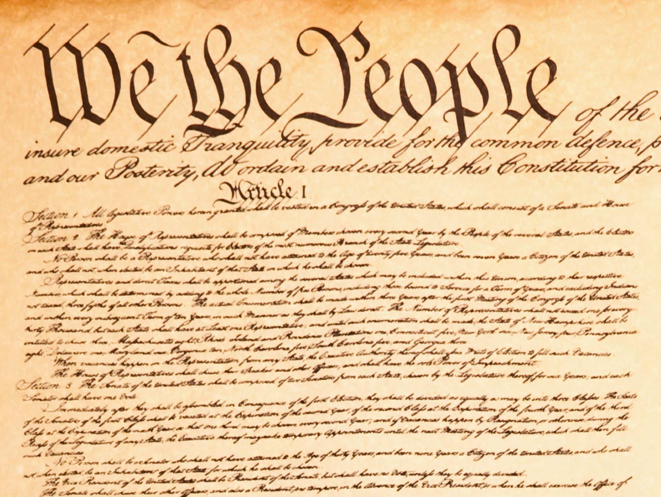 What was the original purpose of the constitutional convention?