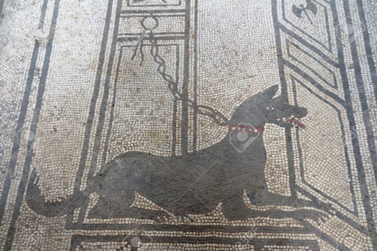Dogs in Ancient Greece Brewminate A Bold Blend of News and Ideas