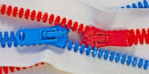 101818-36-Politics-Parties-Partisan