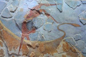 Bull-Leaping Paintings at Ancient Knossos: What Do They Tell Us? 28 Bull-Leaping Paintings at Ancient Knossos: What Do They Tell Us?