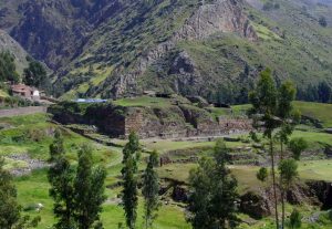 Complexity and Vision: The Staff God at Chavín de Huántar and Beyond 28 Complexity and Vision: The Staff God at Chavín de Huántar and Beyond