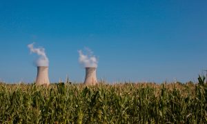 Nuclear Power Will Not Save Us From Climate Change