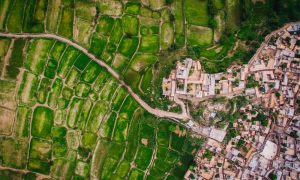 Why I Have Hope in the Face of Human Extinction