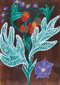 The Art of Healing: Five Medicinal Plants Used by Aboriginal Australians 23 The Art of Healing: Five Medicinal Plants Used by Aboriginal Australians