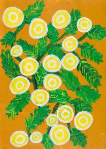 The Art of Healing: Five Medicinal Plants Used by Aboriginal Australians 25 The Art of Healing: Five Medicinal Plants Used by Aboriginal Australians