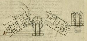 17th-Century Artistic Attempts to Imagine 'Perfect' Animal Forms before 'the Fall' 41 17th-Century Artistic Attempts to Imagine 'Perfect' Animal Forms before 'the Fall'