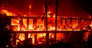 Trump's Willful Ignorance Blames Poor "Forest Management" for Increasing Wildfires