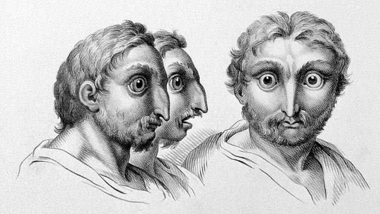 111118-50-Art-History-Evolution