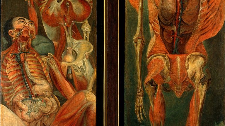 111218-150-History-Medicine