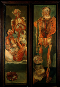 Getting Under the Skin: A Brief History of Human Dissection 40 Getting Under the Skin: A Brief History of Human Dissection