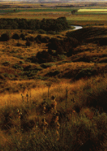 Custer's Defeat at Little Bighorn 28 Custer's Defeat at Little Bighorn