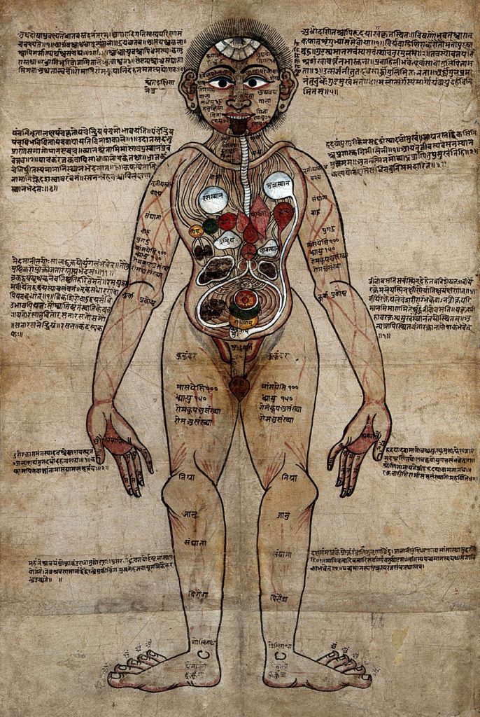 The Roots of “Pure Blood”: Ritual, Medicine, and Power from Antiquity to the Late Middle Ages