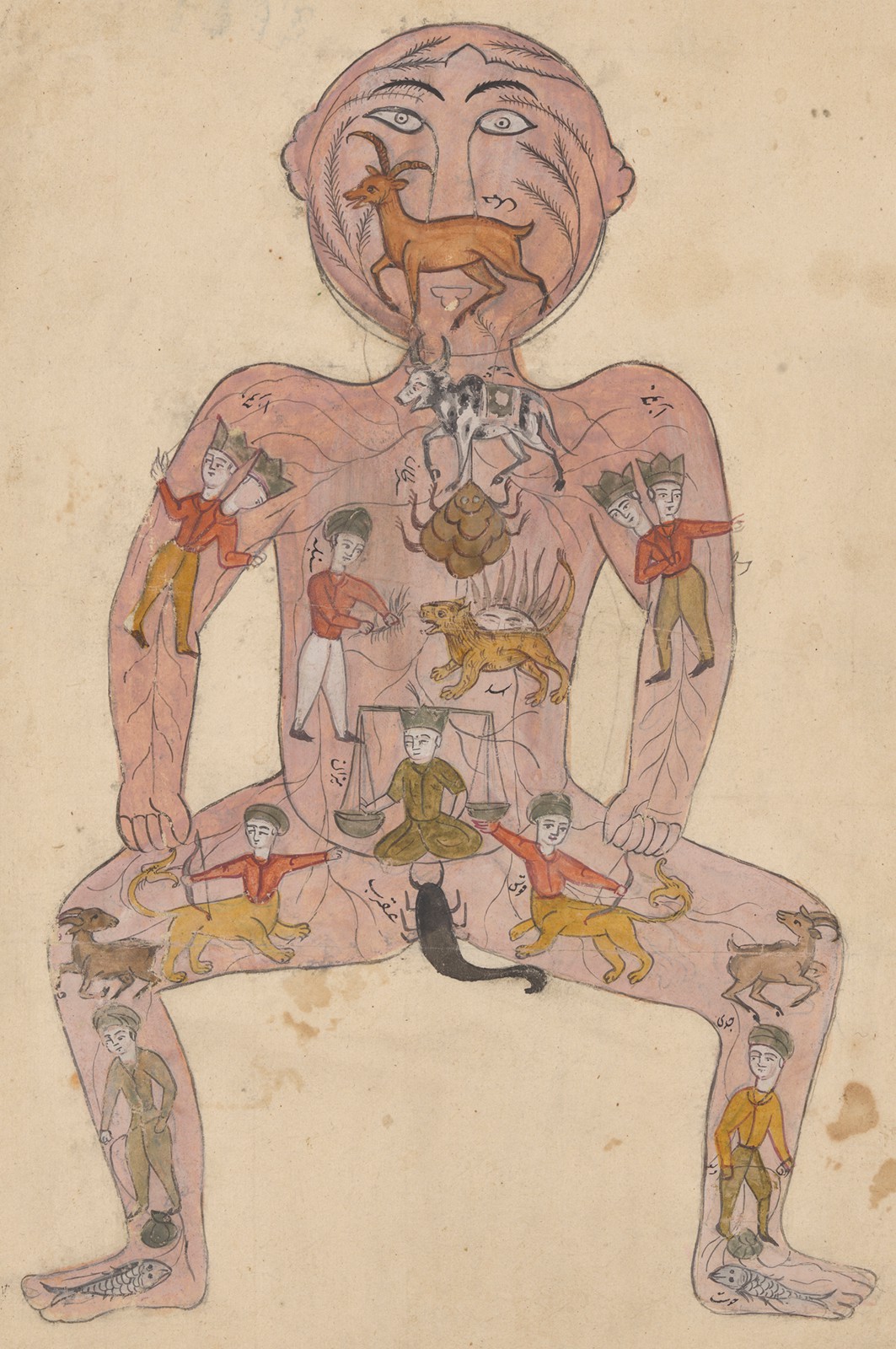 Mapping the Body with 'Ayurvedic Man' in 18th-Century Nepal - Brewminate