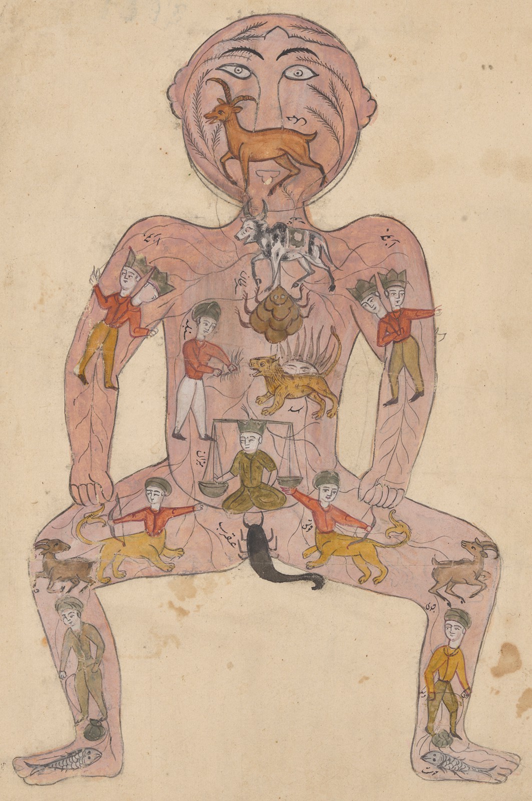 Mapping the Body with 'Ayurvedic Man' in 18th-Century ...