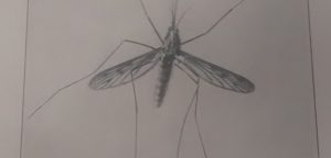 A Vaccine that Could Block Mosquitoes from Transmitting Malaria 3 A Vaccine that Could Block Mosquitoes from Transmitting Malaria
