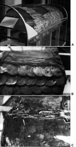 Horse Armor and Warfare in the Medieval Islamic Middle East