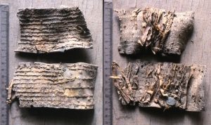 Horse Armor and Warfare in the Medieval Islamic Middle East