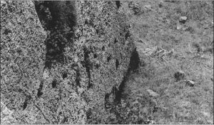 Five Crusader Fortifications in the Medieval Levant