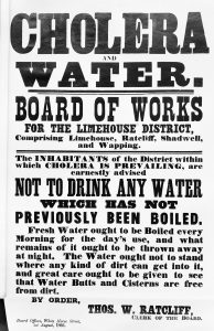 The 'Blue Terror': British Troops and Cholera in 19th-Century India 50 The 'Blue Terror': British Troops and Cholera in 19th-Century India