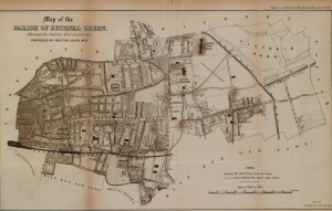 The 'Blue Terror': British Troops and Cholera in 19th-Century India 45 The 'Blue Terror': British Troops and Cholera in 19th-Century India