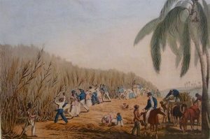 A History of Sugar - the Food Nobody Needs, but So Many Crave 25 A History of Sugar - the Food Nobody Needs, but So Many Crave