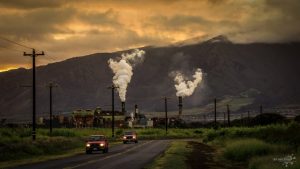 A History of Sugar - the Food Nobody Needs, but So Many Crave 26 A History of Sugar - the Food Nobody Needs, but So Many Crave