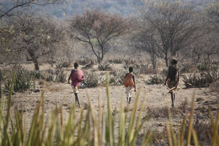 111718-19-History-Diet-Paleo-Food