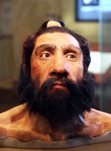 The Real Paleo Diet: Early Hominids Ate Just about Everything 26 The Real Paleo Diet: Early Hominids Ate Just about Everything